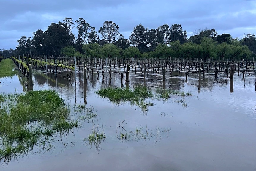 Victorian Flood Updates